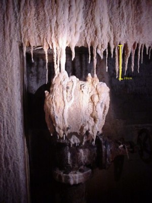 Stalactites can grow very fast